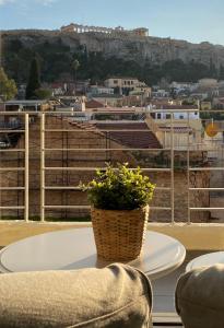 24K Athena Suites في أثينا: طاولة مع نباتات الفخار في الأعلى
