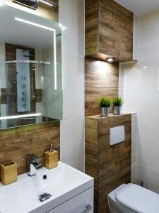 ヴィスワにあるKamienna - Apartament FRESHのバスルーム(白い洗面台、鏡付)