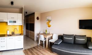 ヴィスワにあるKamienna - Apartament FRESHのキッチン、リビングルーム(ソファ、テーブル付)