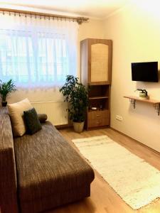 Televízia a/alebo spoločenská miestnosť v ubytovaní Hévíz Lake Apartman