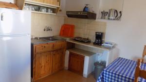 A kitchen or kitchenette at Apartments Elli - Nikos