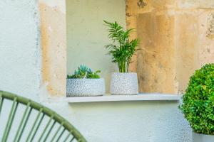 Vonkajšia záhrada v ubytovaní Dimitrios Residence Old Town Rethymno