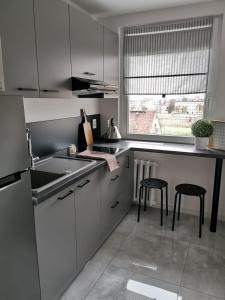 Η κουζίνα ή μικρή κουζίνα στο Air Flat Gliwice