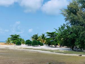 Gallery image of Phangan Chalet Bungalow & House in Chaloklum