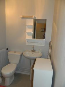 a bathroom with a toilet and a sink and a mirror at clos des gentianes in Allevard