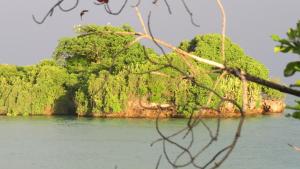 an island in the water with trees on it at Chapwani Private Island in Grave Island