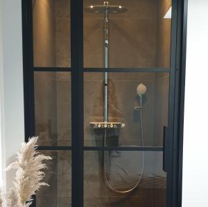 een douche in een glazen deur met een douche bij Studio Smidt in Den Burg