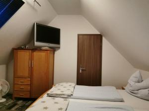 a bedroom with a bed and a tv on a cabinet at Ferienhaus Albers in Oberlangen