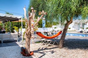 a hammock between two trees next to a pool at Finca Pura, Clothing Optional Guestrooms in Elche