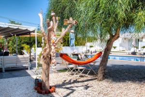 Bazén v ubytování Finca Pura, Clothing Optional Guestrooms nebo v jeho okolí