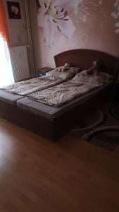 Dos camas en un dormitorio con dos ositos de peluche. en Apartments Near Fair - Mittelfeld, en Hannover