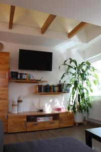 TV a/nebo společenská místnost v ubytování AAR Nordsee Appartement