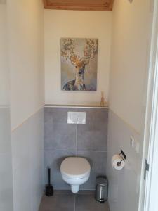 Kúpeľňa v ubytovaní 't Nieuwe Nest