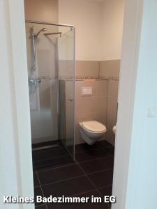 een badkamer met een toilet en een glazen douche bij Haus Am Peenestrom in Peenemünde