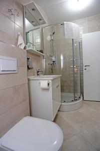 uma casa de banho com um chuveiro, um WC e um lavatório. em Guesthouse Villa DomeNico em Lozovac
