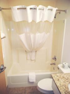 a bathroom with a tub and a toilet and a shower curtain at Quality Inn & Suites in Prestonsburg