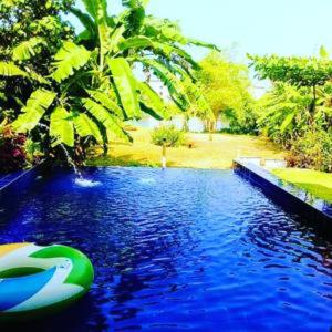 a pool of water with a green and blue at Madampe House 3 bedroom villa with pool for#7 in Ambalangoda