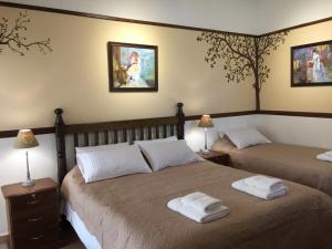 薩邁帕塔的住宿－La Vida es Bella，一间卧室配有两张带毛巾的床