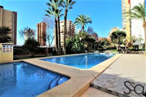 basen w mieście z palmami i budynkami w obiekcie My Sweet Red Apartment w mieście Benidorm