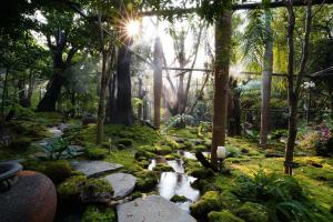 a garden with a stream in a forest at Treescape Resort Chiangmai in Chiang Mai