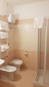 ein Bad mit einem WC, einem Waschbecken und einer Dusche in der Unterkunft Hotel Eden Sul Lago in Bolsena