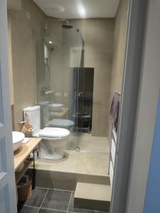uma casa de banho com um WC e uma cabina de duche em vidro. em Appartement avec jardin privatif em Fréjus