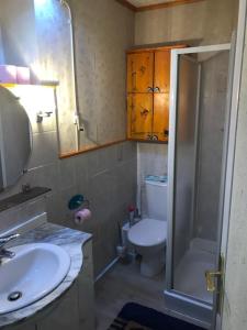 La salle de bains est pourvue de toilettes, d'un lavabo et d'une douche. dans l'établissement Chez Michel, à Le Bonhomme