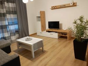 a living room with a tv and a coffee table at apartma MAKS in Podbela