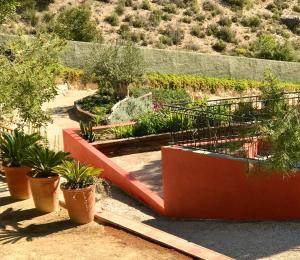 Zahrada ubytování Finca El Otero