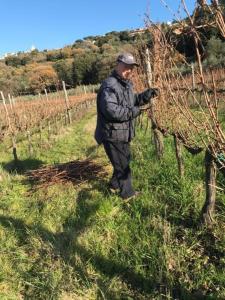 Ein Mann steht auf einem Feld neben einem Weinberg. in der Unterkunft wine apartment le sedici in Massa Marittima