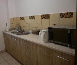 un bancone della cucina con lavello e forno a microonde di Alda a Pyrzowice