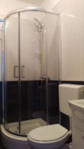 a bathroom with a toilet and a glass shower at Dalmatino - apartment 6 in Sutivan