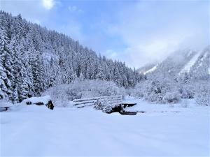 Fotografie z fotogalerie ubytování Gästehaus Geir v destinaci Obernberg am Brenner