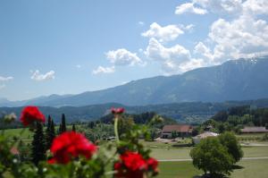 Gallery image of Sommereck Appartements in Seeboden