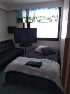 Телевизор и/или развлекательный центр в Tervolahovi Lappland