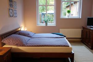 um quarto com uma cama e duas janelas em ViaNova14 em Reuterstadt Stavenhagen