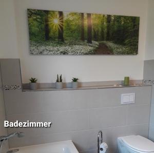 a bathroom with a painting hanging above a toilet at Haus Am Peenestrom in Peenemünde