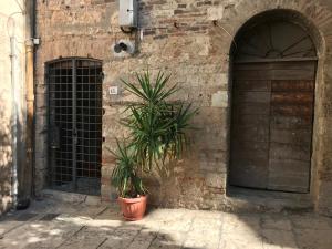 Φωτογραφία από το άλμπουμ του Authentic Cave House in the heart of the Village! σε Massa Marittima