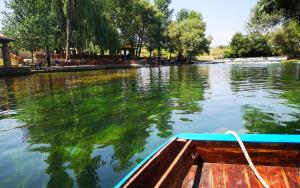 リュブシュキにあるMagnoliaの水面に緑が反射する川舟