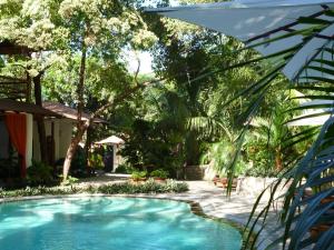 Hồ bơi trong/gần Manala Hotel