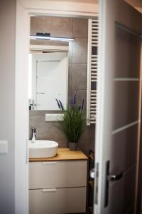 a bathroom with a sink and a mirror at Słoneczna Apartamenty in Katowice