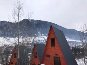 山景或從山林小屋拍的山景