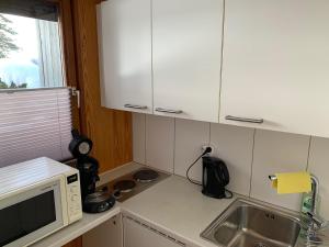 Kuchyň nebo kuchyňský kout v ubytování Alpendomizil A18