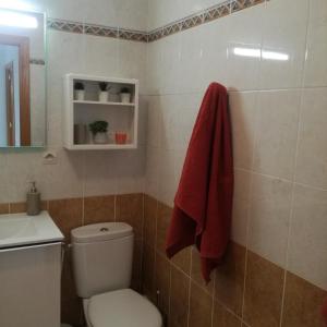 een badkamer met een toilet en een rode handdoek bij Bidasoa con vistas in Hendaye +14 foto's