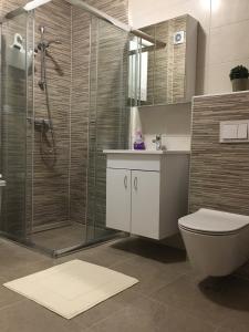 ein Badezimmer mit Dusche, Toilette und Waschbecken in der Unterkunft Fantastic Apartment De LUX in Sarajevo + 19 Fotos