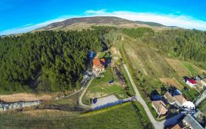 an aerial view of a house on a hill at Pensiunea Armonia in Nădăşelu