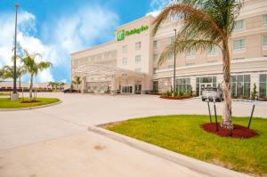 a hotel with a palm tree in front of it at Holiday Inn - New Orleans Airport North by IHG in Kenner