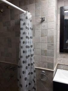 La salle de bains est pourvue d'un rideau de douche et d'un lavabo. dans l'établissement CABAÑA VILLA CLUB 1 cerca del aeropuerto el Palomar, à Hurlingham