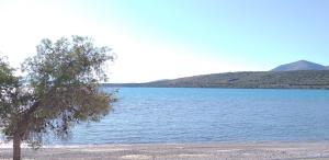Paesaggio naturale nelle vicinanze dell'appartamento