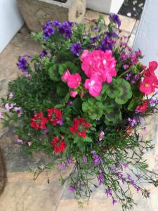 a bouquet of flowers in a pot on a table at Gwynarth B&B in Wadebridge